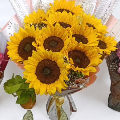 Premium Sunflower Bunch