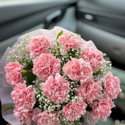 Exotic Pink Carnations Bunch