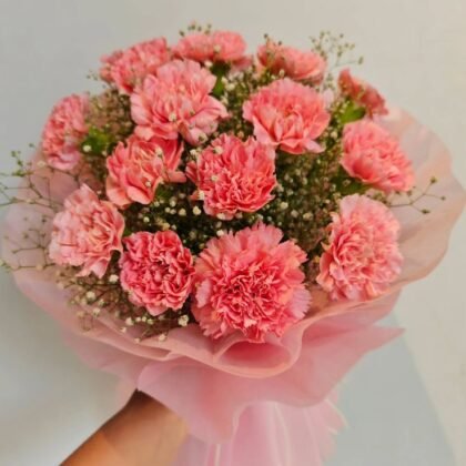 Carnations Bunch