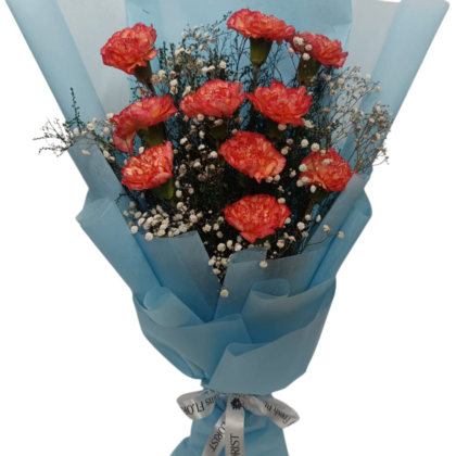 Carnations Bunch
